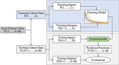 Comparison of initial learning algorithms for long short-term memory method on real-time respiratory signal prediction